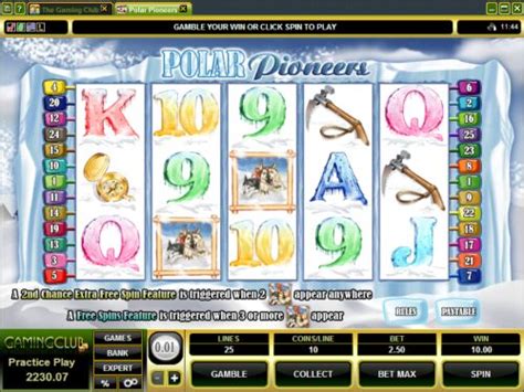polar pioneers casinos|Polar Pioneers Slot Review .